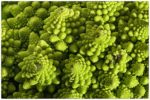 Romanesco