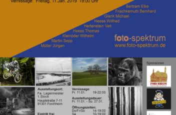 Flyer_2019_1200